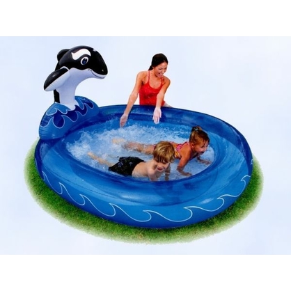 Фото, Відеоогляди 