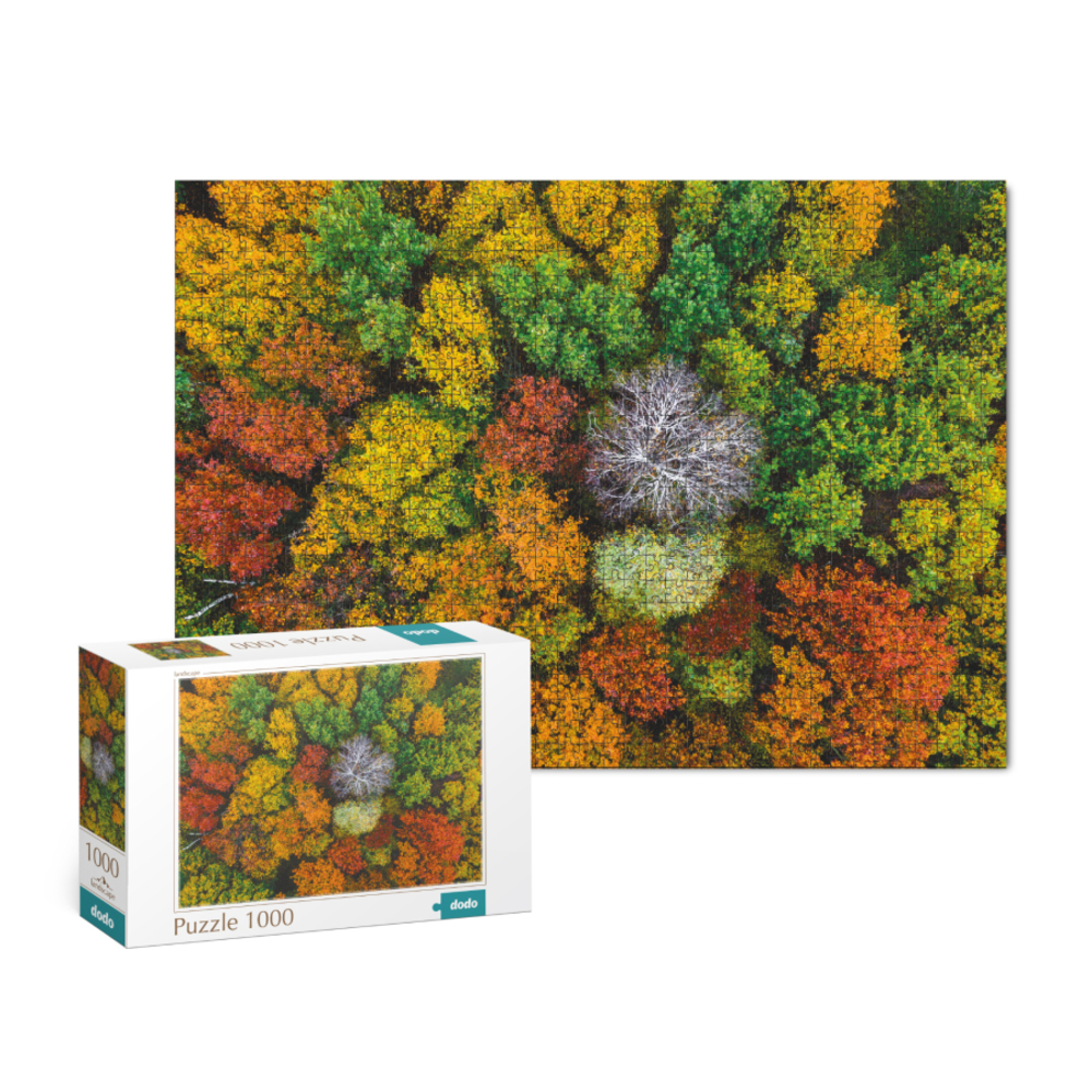 Фото, Відеоогляди пазл dodo село дземброня україна