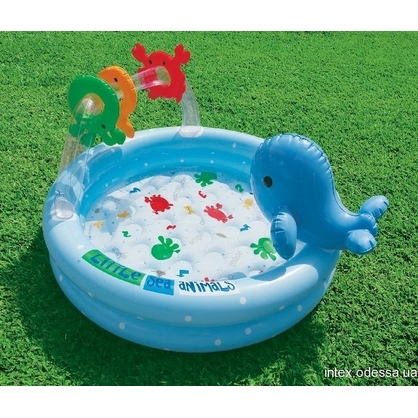 Фото, Видеообзоры 