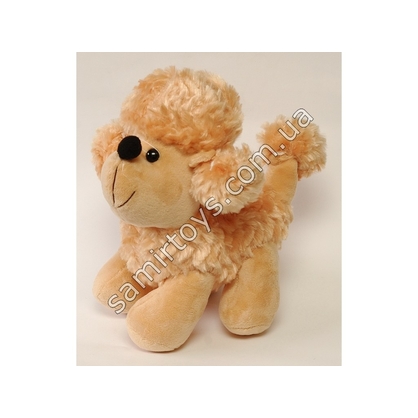 Фото, Видеообзоры 