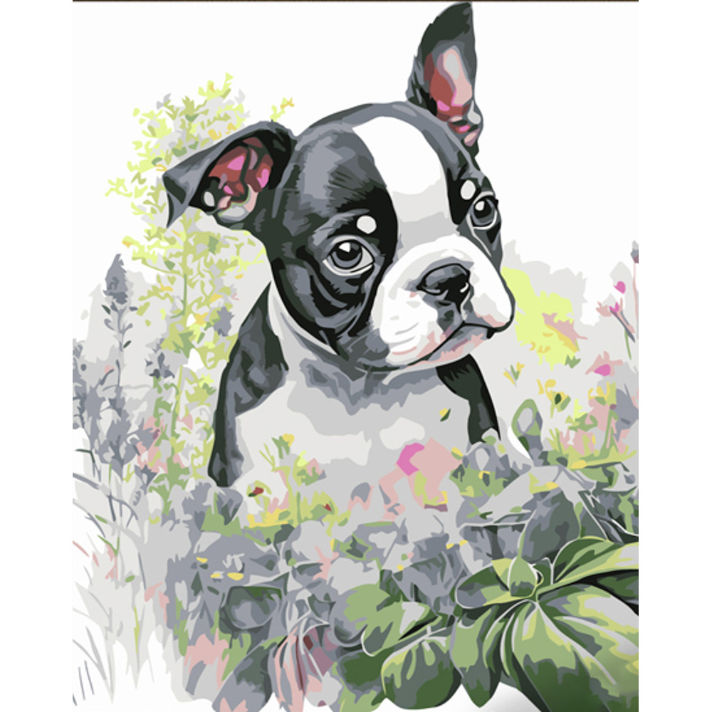 Фото, Відеоогляди картина за номерами strateg преміум мила мордочка з лаком розміром 30х40 см (ss6681)
