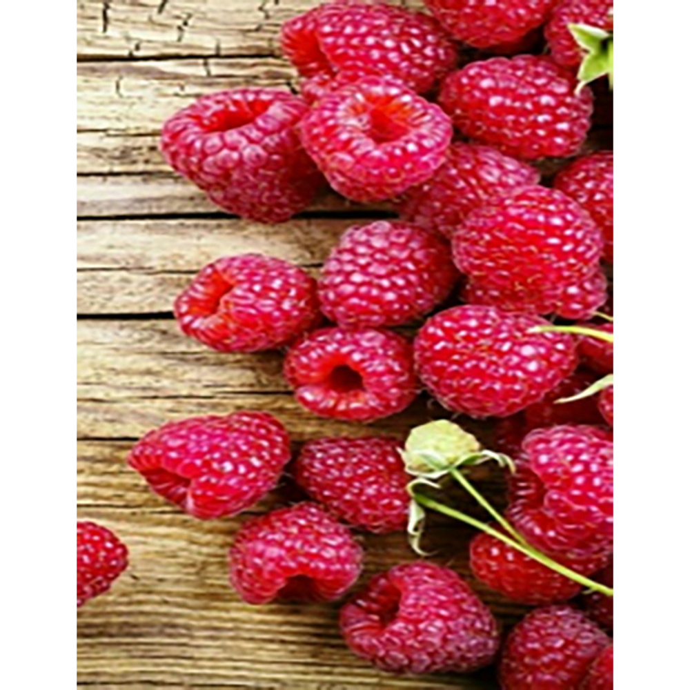 Фото, Відеоогляди алмазна мозаїка strateg преміум соковита малина без підрамника розміром 40х50 см  (jsfh85871)