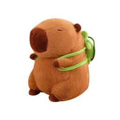 Фото, Видеообзоры 