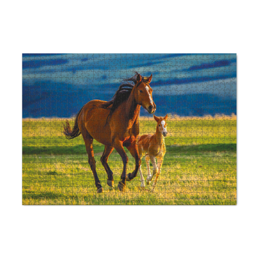 Фото, Видеообзоры пазл dodo виховання маленького лошати