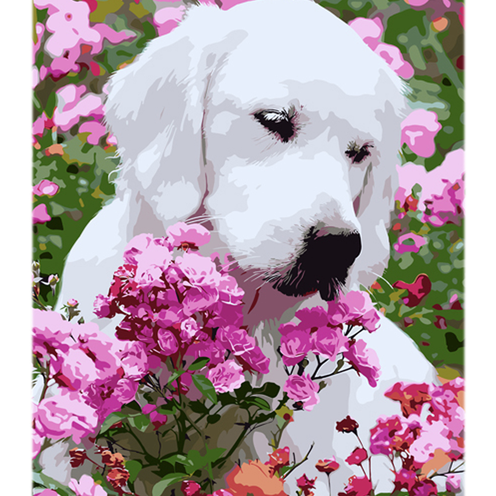 Фото, Відеоогляди картина за номерами strateg бешкетник на кольоровому фоні розміром 40х50 см (mz076)