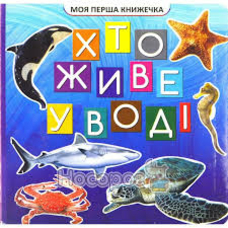 Моя перша книжечка