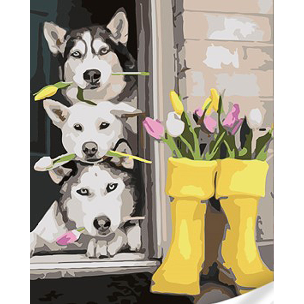 Фото, Видеообзоры картина за номерами strateg преміум красені хаскі з лаком та з рівнем розміром 30х40 см (ss1136)