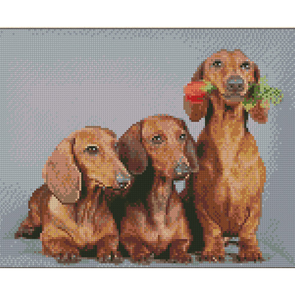 Фото, Відеоогляди алмазна мозаїка strateg преміум трійка такс розміром 30х40 см (kb012)