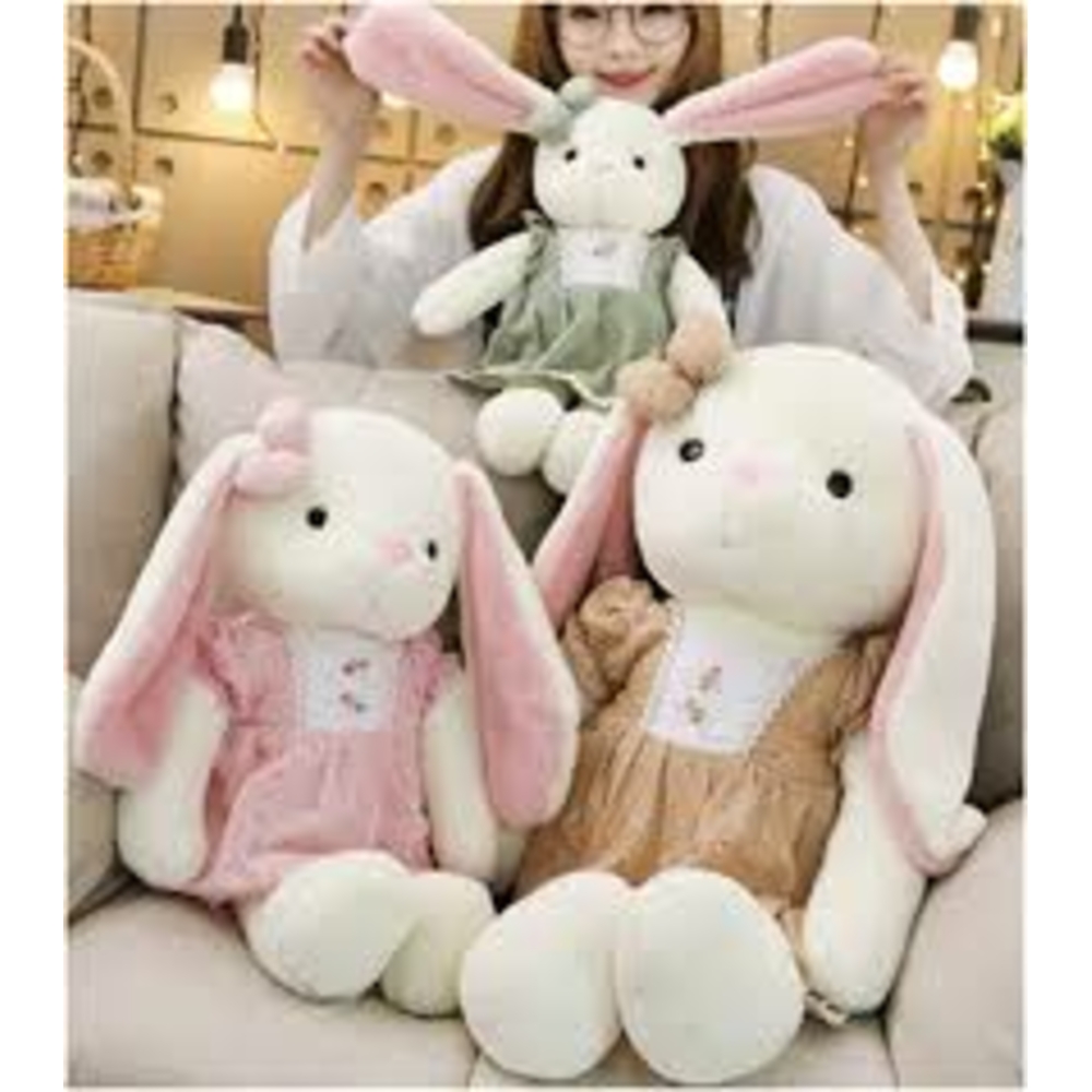 Фото, Відеоогляди 