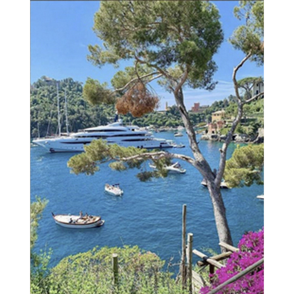 Фото, Видеообзоры алмазна мозаїка strateg преміум портофіно  розміром 30х40 см (heg86067)