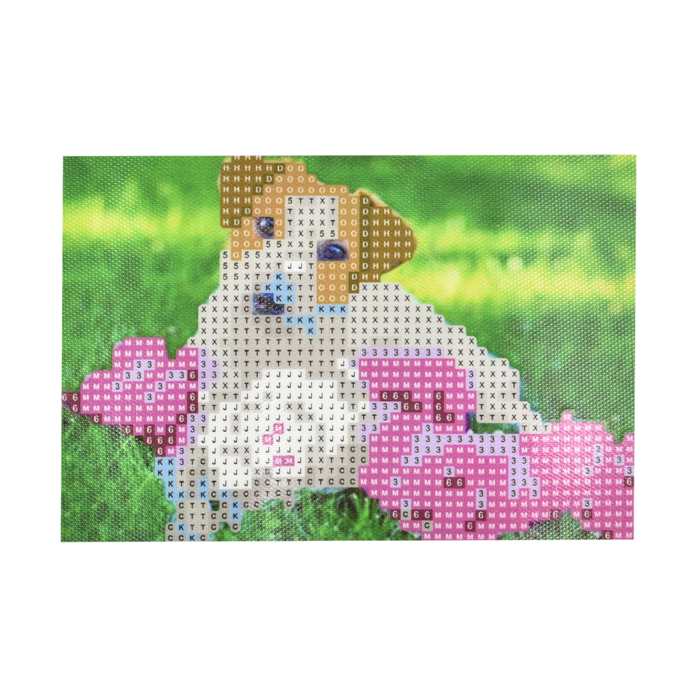 Фото, Видеообзоры алмазна мозаїка strateg преміум півонії та вірний друг без підрамника розміром 10х15 см (yab14424)