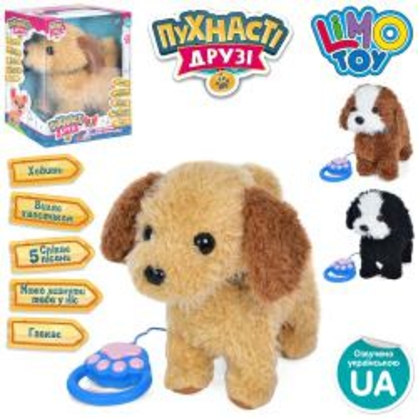 Фото, Відеоогляди 