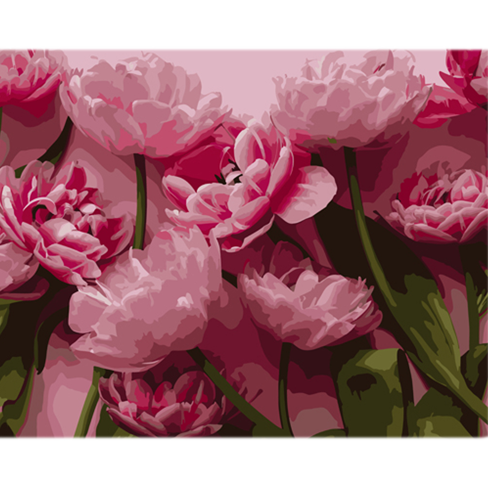 Фото, Відеоогляди картина за номерами strateg ніжність рожевих тюльпанів на кольоровому фоні розміром 40х50 см (mz033)