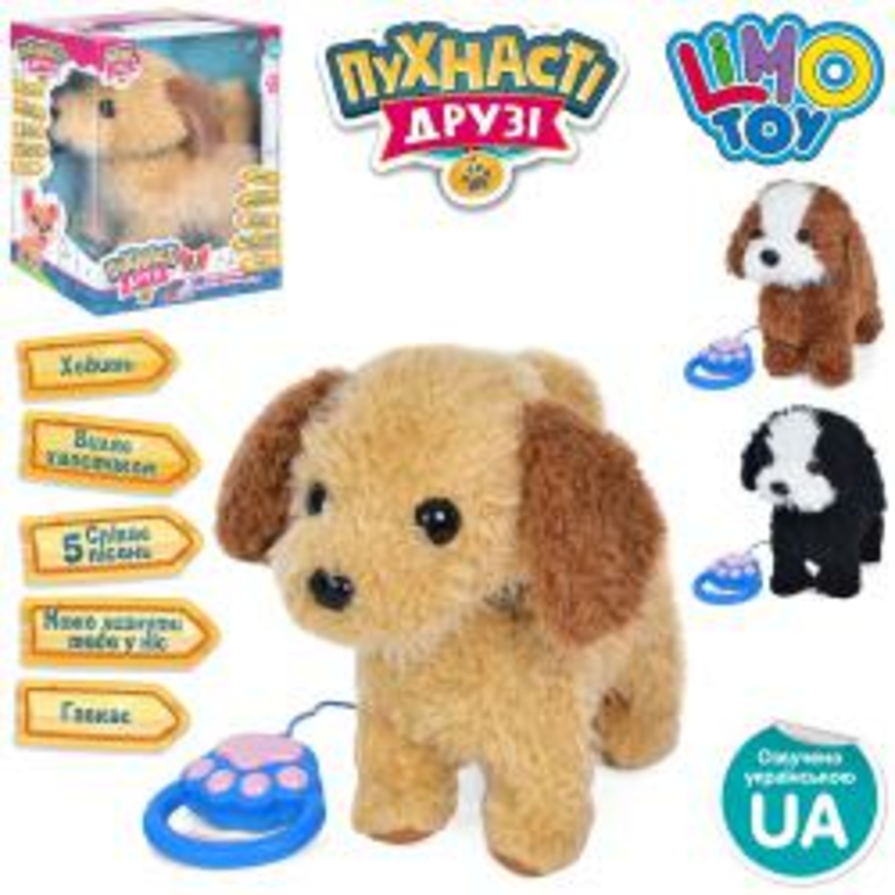 Фото, Відеоогляди 