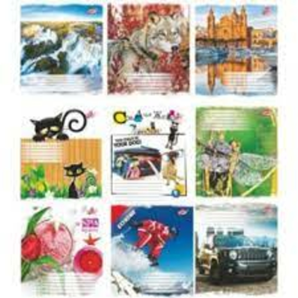 Фото, Видеообзоры 