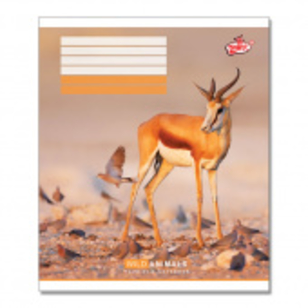 Фото, Видеообзоры 