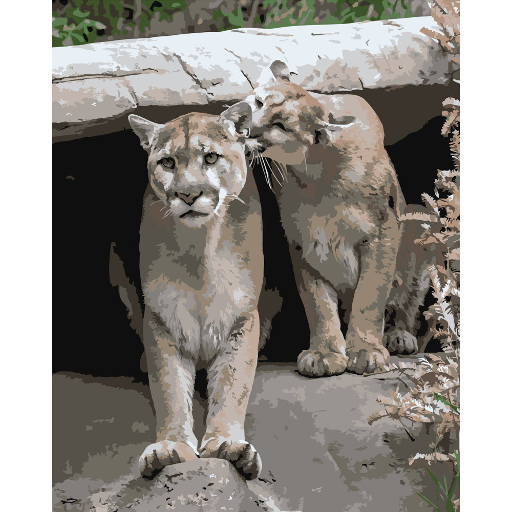 Фото, Відеоогляди картина за номерами strateg преміум грайливі пуми розміром 40х50 см (dy122)