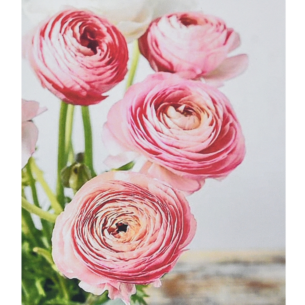 Фото, Видеообзоры алмазна мозаїка strateg преміум рожева симфонія розміром 30х40 см (heg87059)