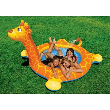 Фото, Відеоогляди 