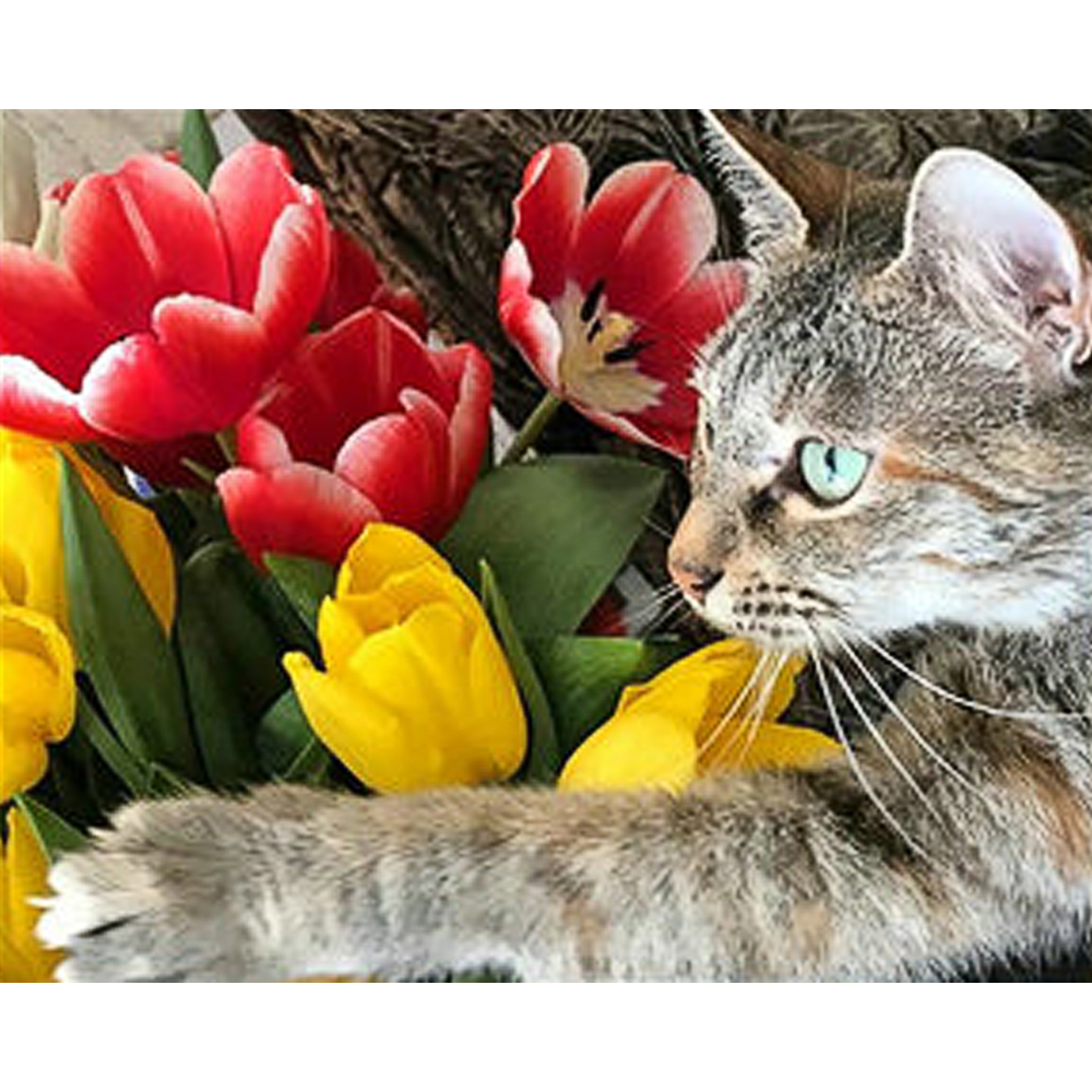 Фото, Відеоогляди алмазна мозаїка strateg преміум березневий настрій розміром 30х40 см (gm85987)