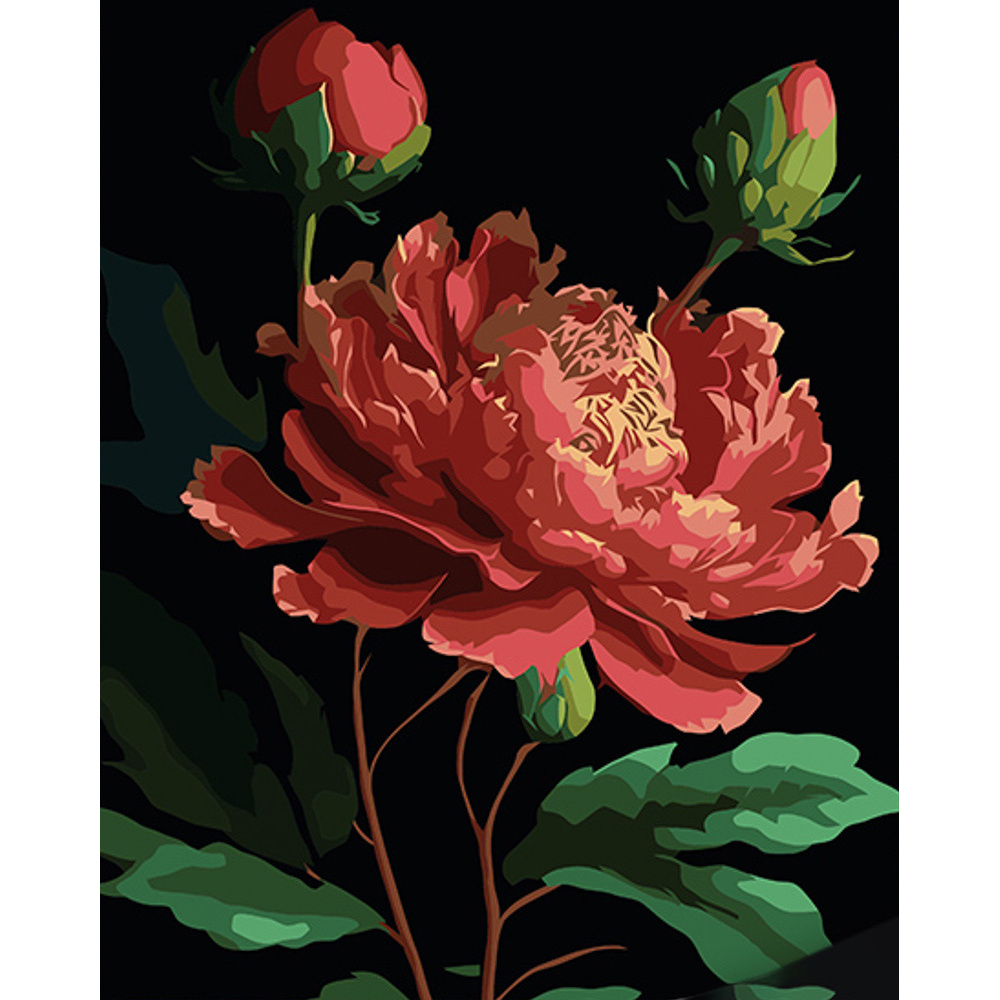 Фото, Відеоогляди картина за номерами strateg преміум півонії на чорному фоні розміром 40х50 см (ah1048)