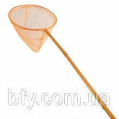 Фото, Відеоогляди 