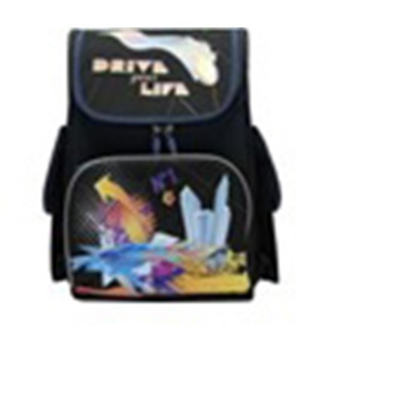 Ранец каркасный,ортопедический,ТА002,Drive your Life 972001 "Leader"