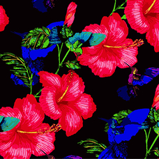 Картина за номерами Strateg ПРЕМІУМ Розкіш гібіскуса на чорному фоні розміром 40х40 см (AV4040-31) Картина за номерами Strateg ПРЕМІУМ Розкіш гібіскуса на чорному фоні розміром 40х40 см (AV4040-31)