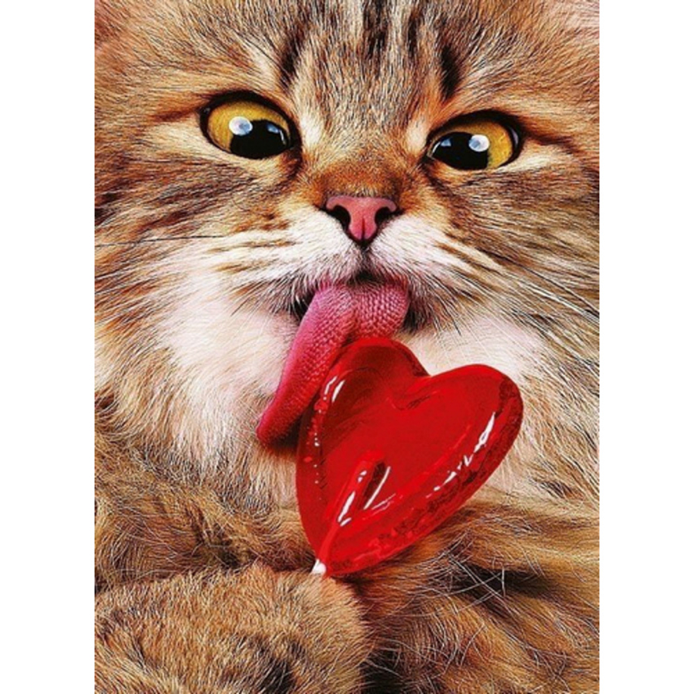 Фото, Видеообзоры алмазна мозаїка strateg преміум котик з льодяником без підрамника розміром 50х65 см  (sgk86073)