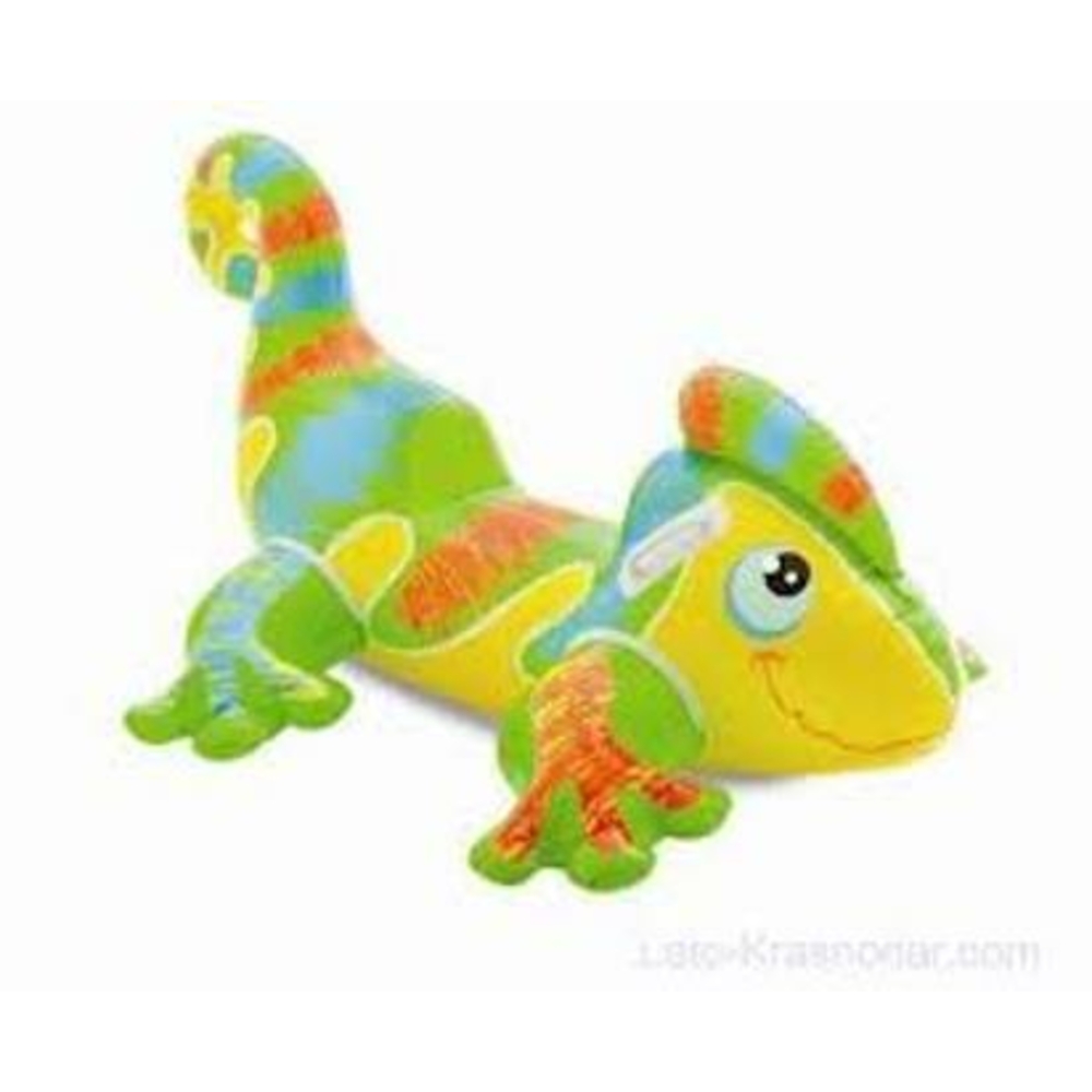 Фото, Відеоогляди 