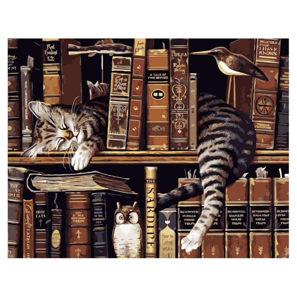 Фото, Видеообзоры картина за номерами strateg преміум котик на полиці з книгами з лаком розміром 40х50 см va-1726