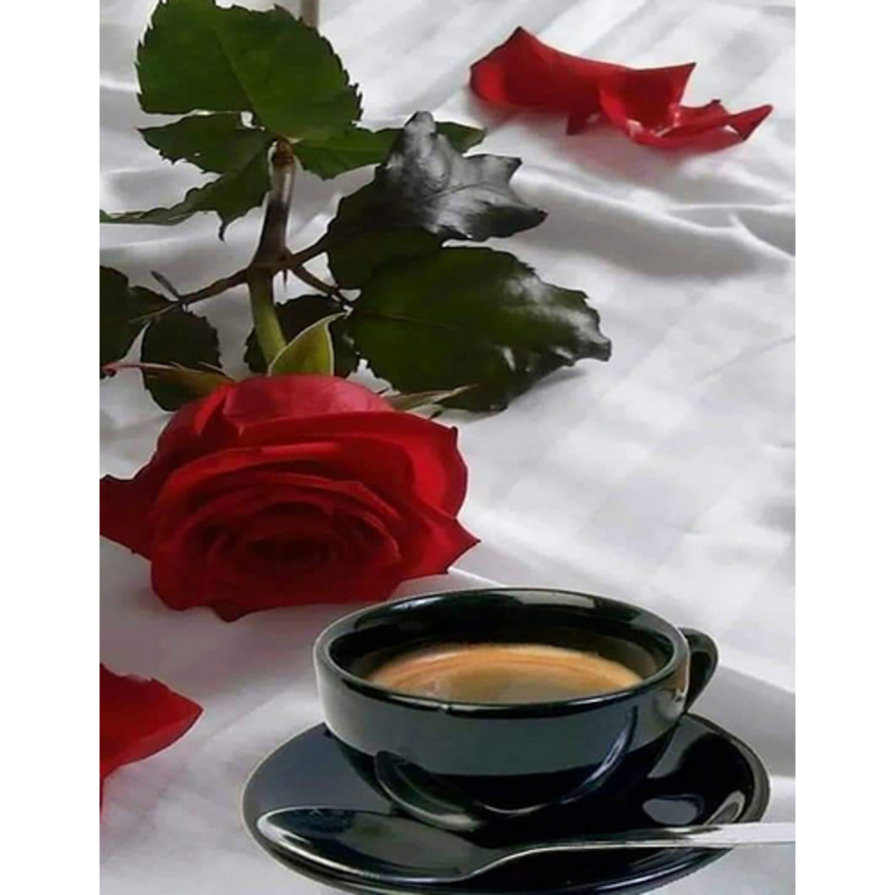 Фото, Відеоогляди алмазна мозаїка strateg преміум кава в постіль без підрамника розміром 40х50 см  (jsfh85890)