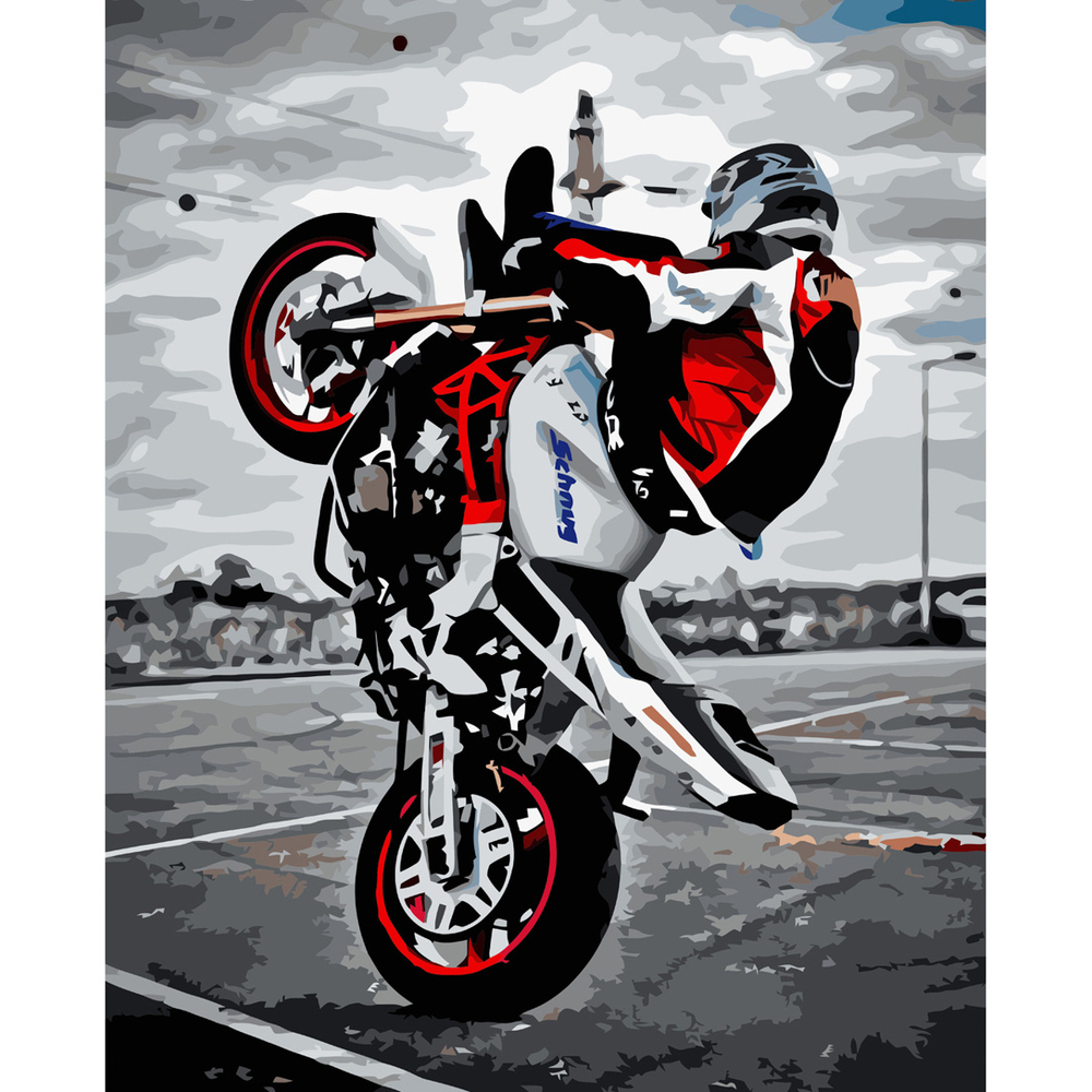 Фото, Видеообзоры картина за номерами strateg преміум крутий байкер з лаком розміром 40х50 см va-3588