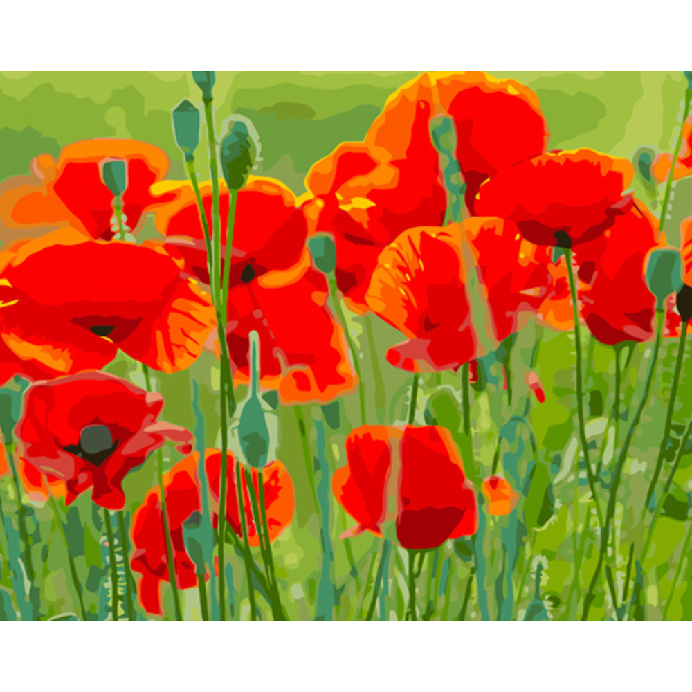 Фото, Відеоогляди картина за номерами strateg преміум маки в полі з лаком розміром 40х50 см (gs1179)