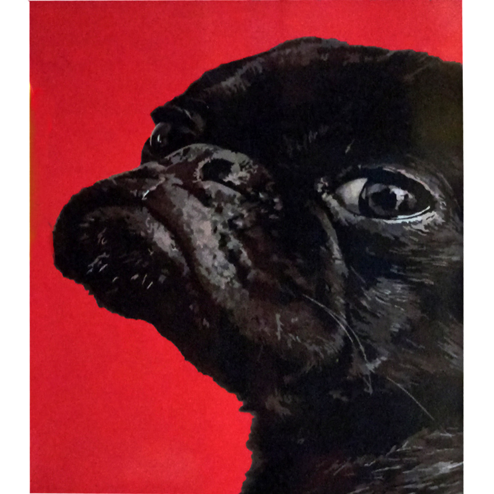 Фото, Видеообзоры картина за номерами strateg преміум французький бульдог з лаком розміром 30х40 см (ss-6492)