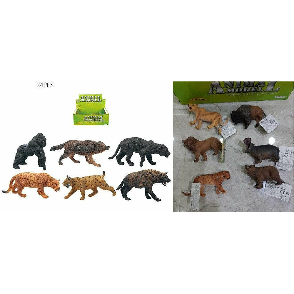 Фото, Відеоогляди 