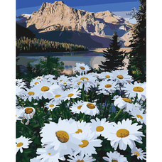 Картина за номерами Strateg ПРЕМІУМ Галявина серед гір з лаком розміром 40х50 см SY6082