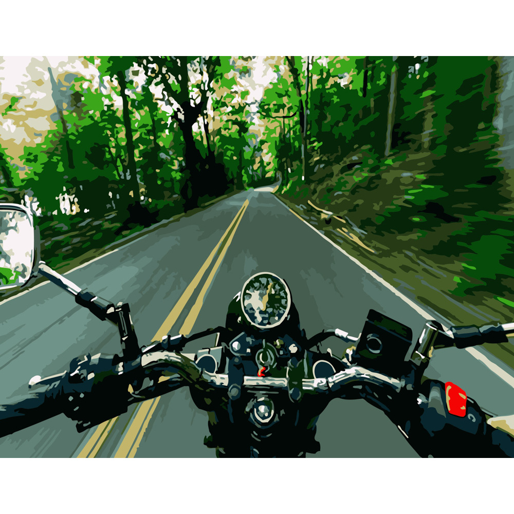 Фото, Видеообзоры картина за номерами strateg преміум швидкість розміром 40х50 см (dy106)