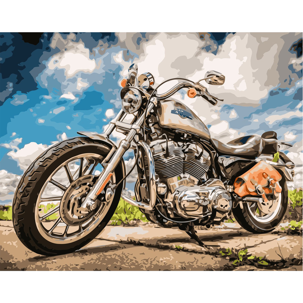 Фото, Видеообзоры картина за номерами strateg преміум байк з лаком розміром 40х50 см va-2518