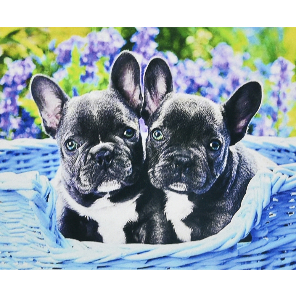 Фото, Видеообзоры алмазна мозаїка strateg преміум двоє малят розміром 30х40 см (heg88148)