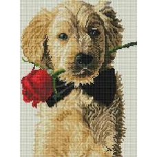 Алмазна картина 86089 Цуценя з трояндою 30*40см