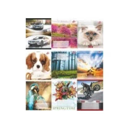 Фото, Відеоогляди 