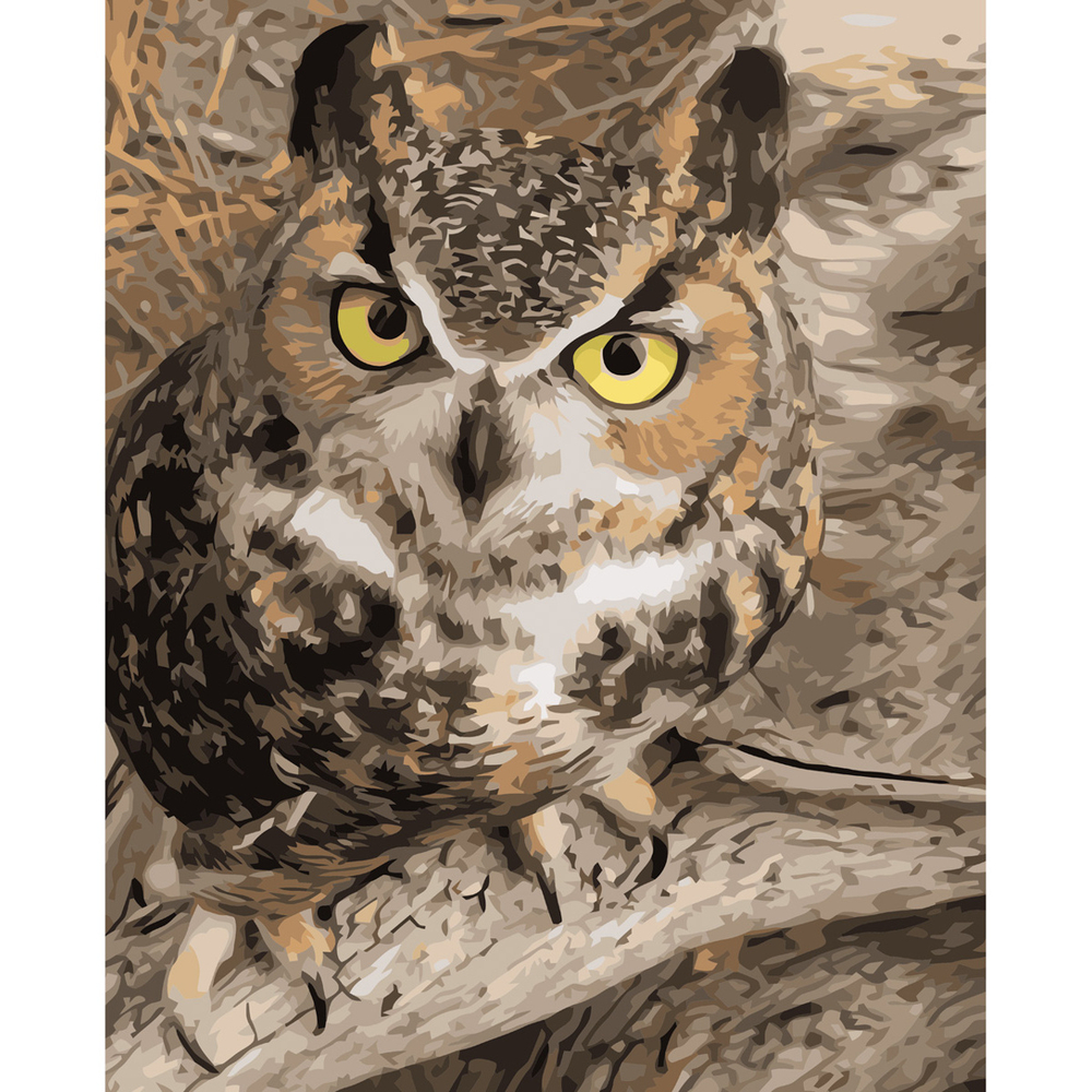 Фото, Відеоогляди картина за номерами strateg преміум погляд мудрості з лаком розміром 40х50 см va-3597