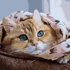 Картина за номерами Strateg ПРЕМІУМ Руде кошеня розміром 40х40 см (SK040)