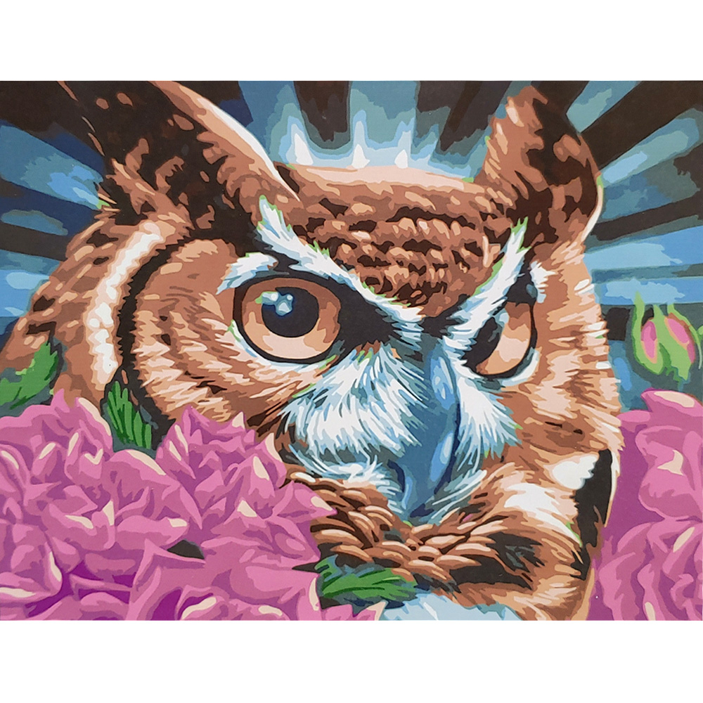 Фото, Видеообзоры картина за номерами strateg преміум мудра сова з лаком розміром 40х50 см (sy6645)