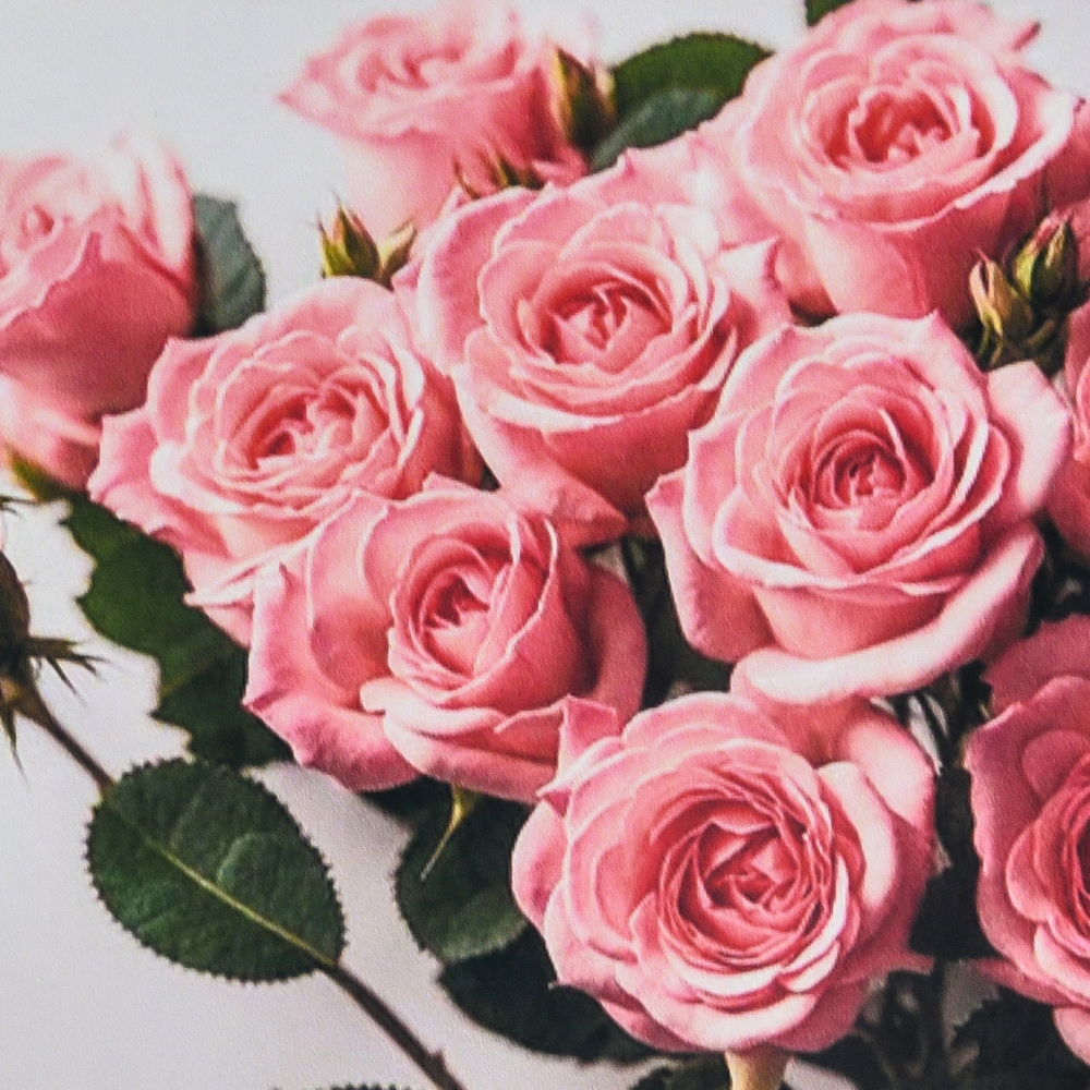 Фото, Видеообзоры алмазна мозаїка strateg преміум ніжність рожевих троянд розміром 30х30 см (hee16347)