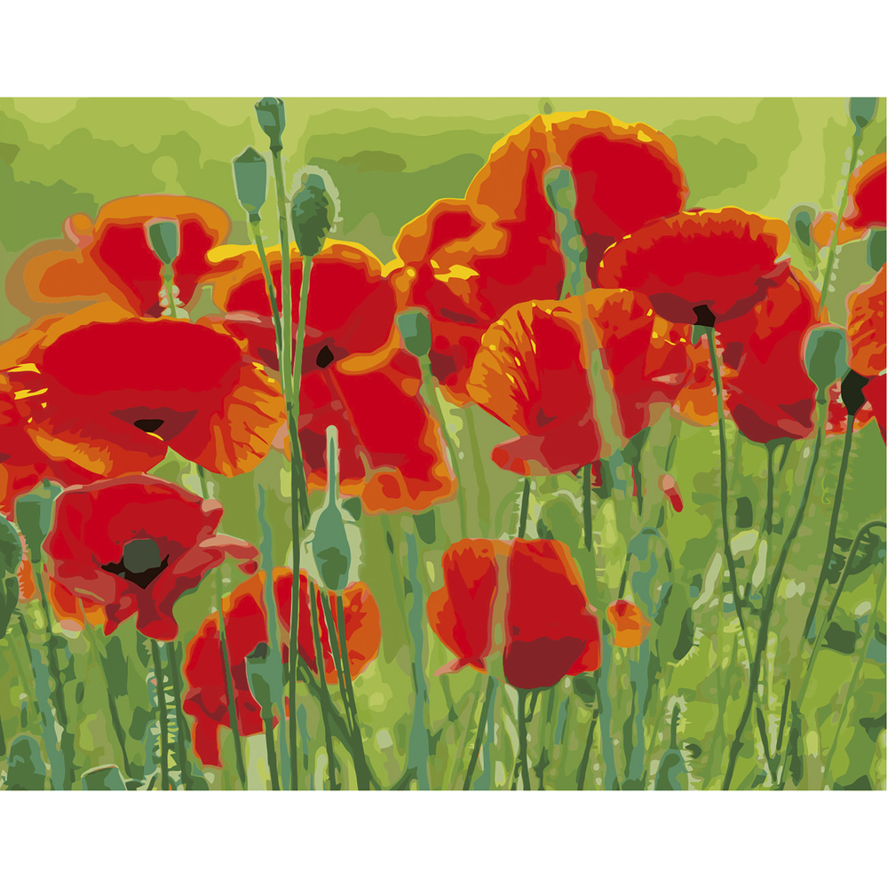 Фото, Відеоогляди картина за номерами strateg преміум маки в полі з лаком розміром 40х50 см va-2660