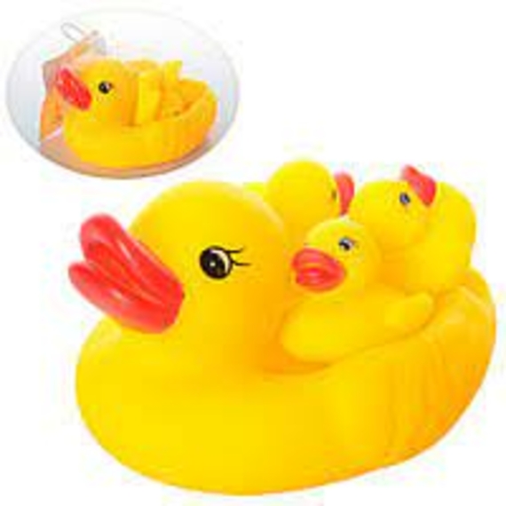 Пискавка 668-9 (288/2) качка з каченятами, в сітці