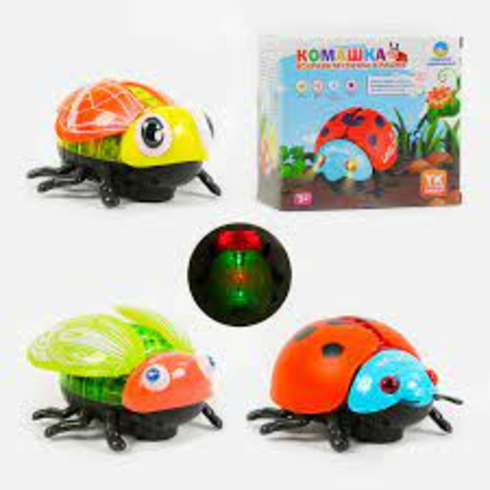 Фото, Відеоогляди 