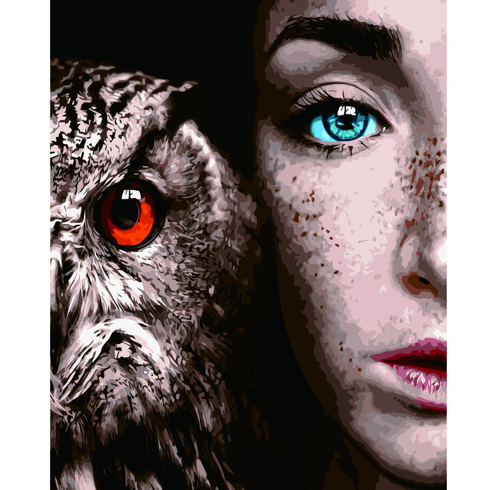 Фото, Видеообзоры картина за номерами strateg преміум дівчина з совою з лаком розміром 40х50 см va-2637